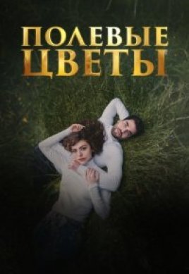  Дикие цветы 