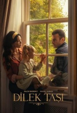  Камень желаний 